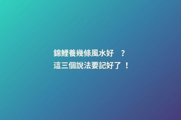 錦鯉養幾條風水好？這三個說法要記好了！